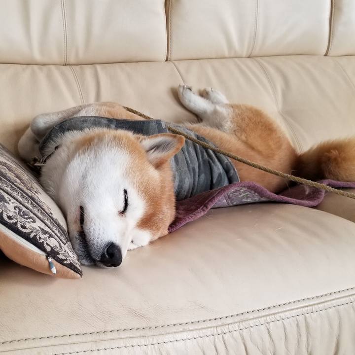 Fc85965b d8eb 4a0c 9258 648e8b30a78c 1645318940458