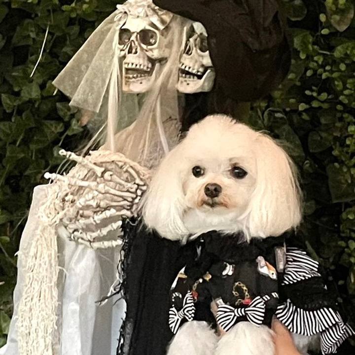 Fc85d8a2 e058 4bb0 a70d 226e9d597d25 1666169592026