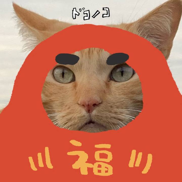 Fc860984 36e4 4c24 92de 368a7ecd519b 1772004072509