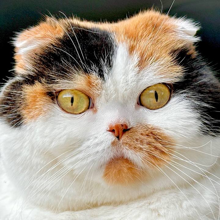 Fc8628ea cb01 4067 a86b 5f9cc8611a79 1723605022131