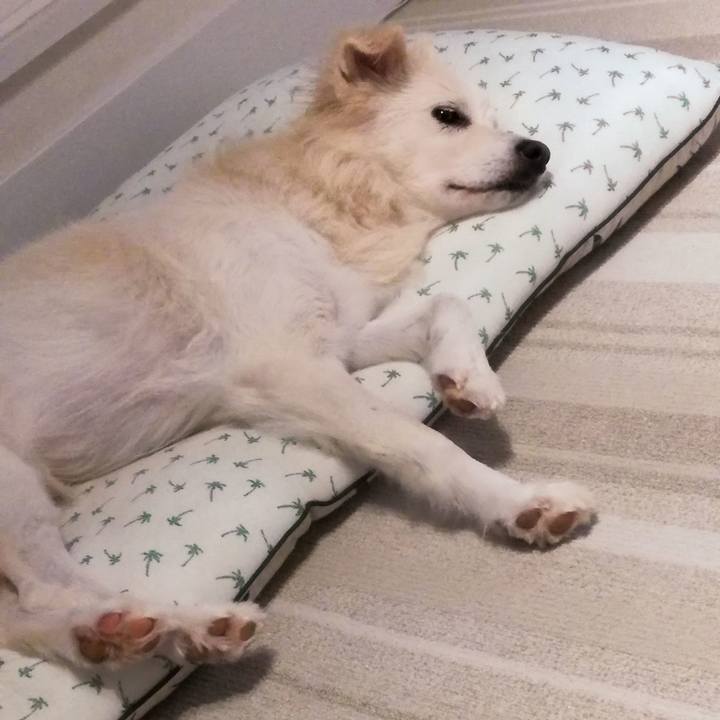 Fc863830 1234 482e a90a 9a04d48b2116 1508665685048