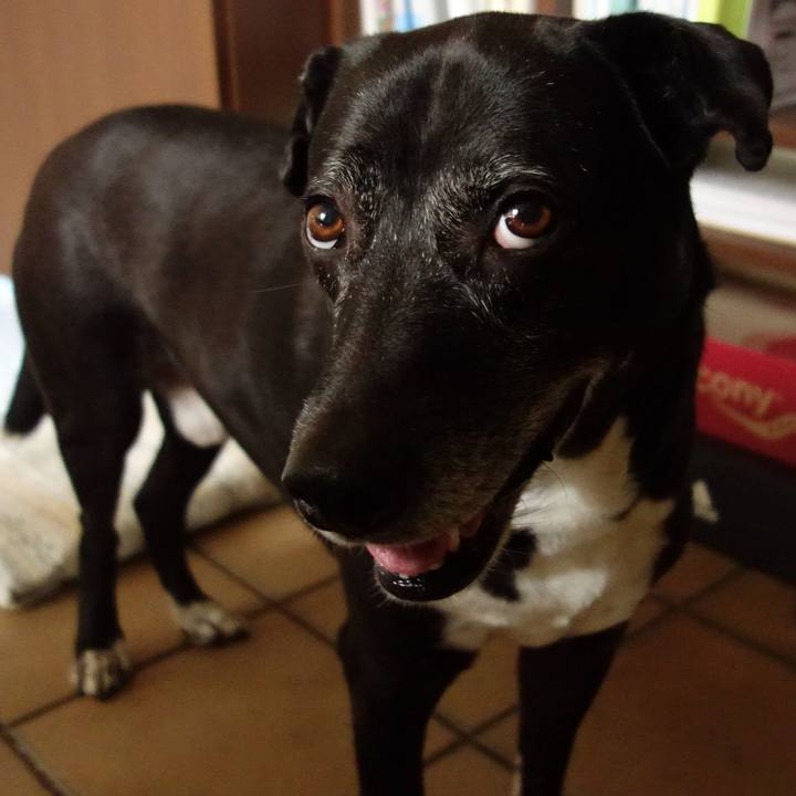 Fc86582e f065 43d6 b369 4e726abb92c8 1749772639578