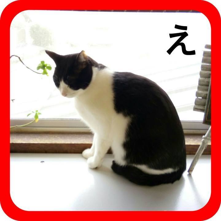 Fc8662a2 4ef0 4990 8c2c eb5cc7058c50 1515066203779