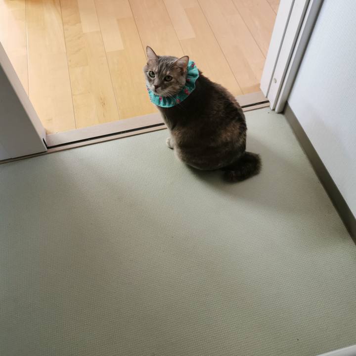 Fc86a534 f6c7 4faa 97bd 9b9002cb809b 1670470462618