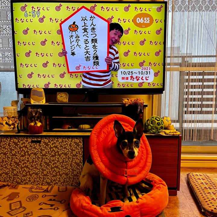 Fc86a748 d2b2 4243 b0f9 c58ee775a1a6 1635113446007