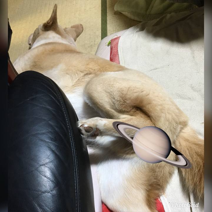 Fc870e43 598b 4b50 87b4 6e6271f56b97 1526993125217