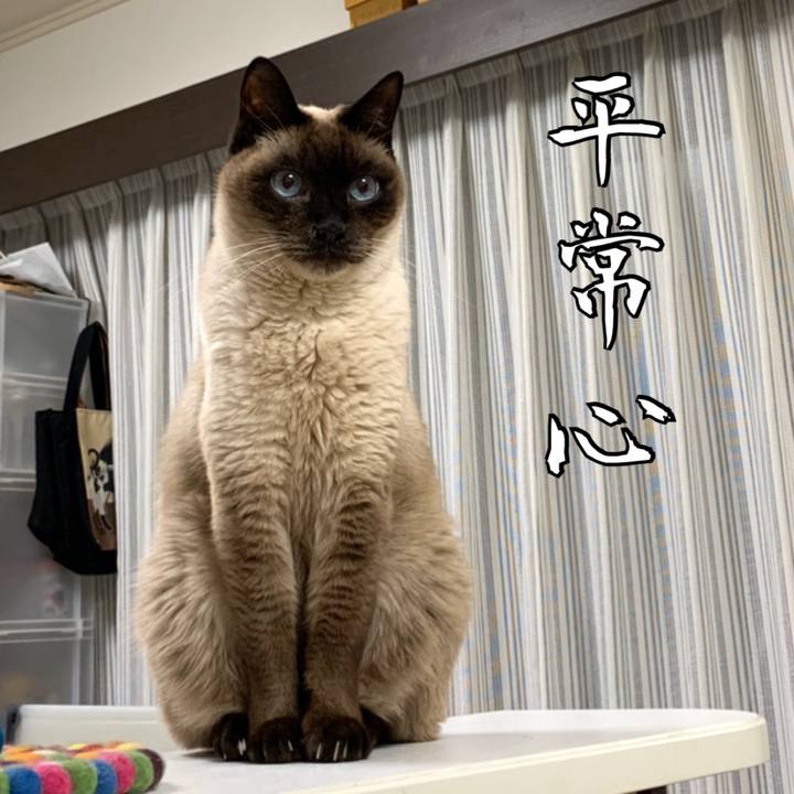 Fc872fdc 6a70 4dcd 97b4 5d2238cbbe14 1584053604572