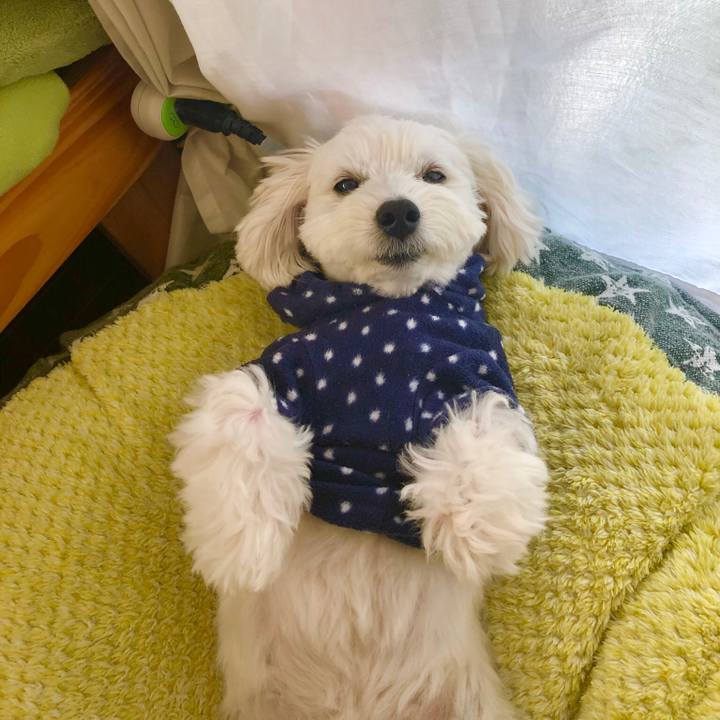 Fc875494 35cd 477f b865 b9d8e4cfdb41 1550803967571