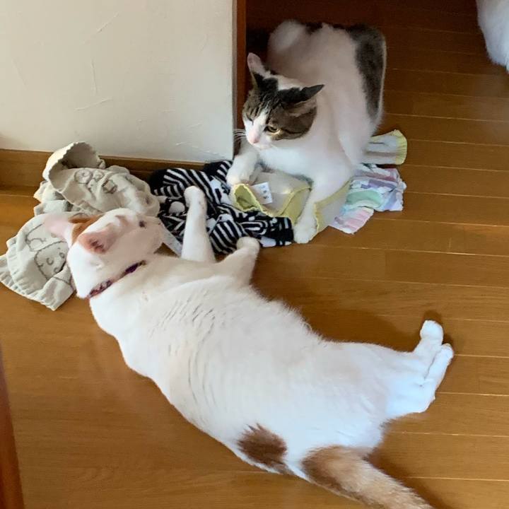 Fc87d291 aff3 4117 a975 50dfa0d20b4a 1564784619361