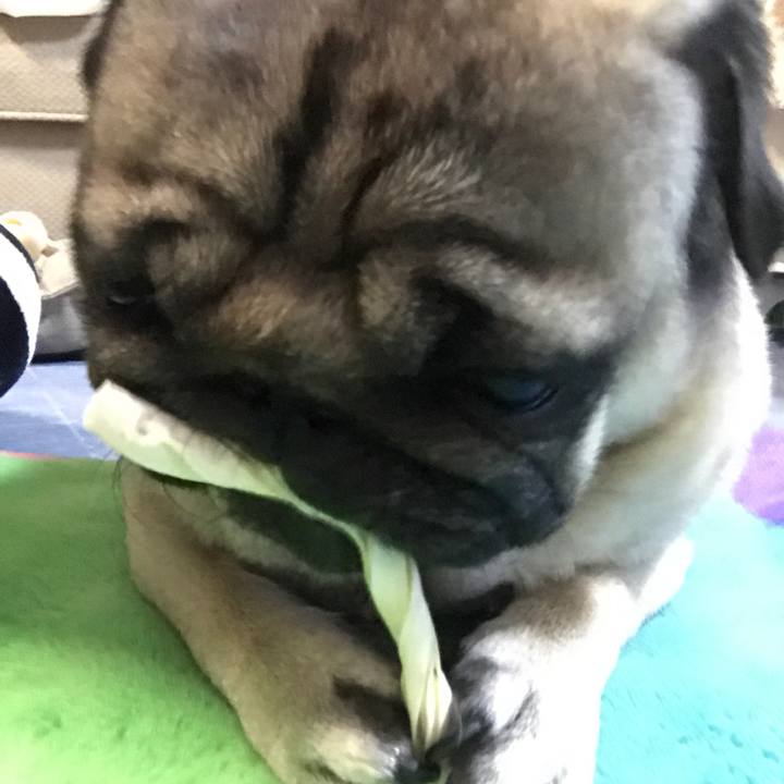 Fc87d561 fc62 4df8 af49 5931103cb1c0 1508928544210