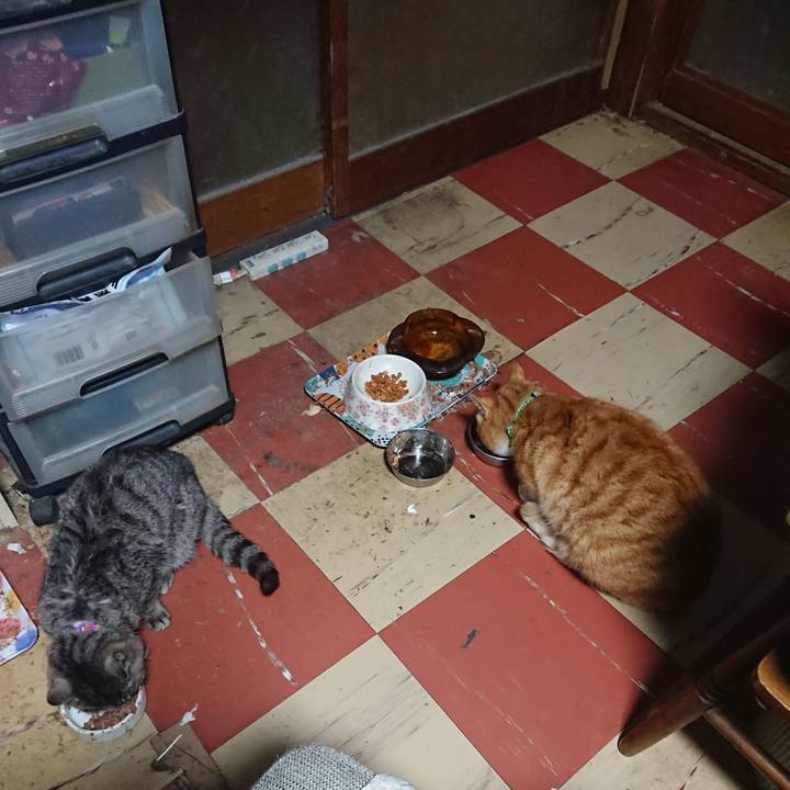 Fc87d7d0 e3b6 4c9d b5ec 2621d5259952 1582660378756