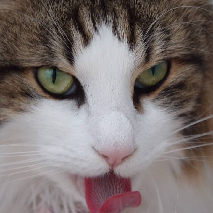 Fc87fd71 13ea 40f5 86fd 8280802bbed1 1559909581877