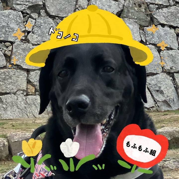 Fc880ba0 2f10 4d56 ab9e 1ab47f1aee00 1712529803307