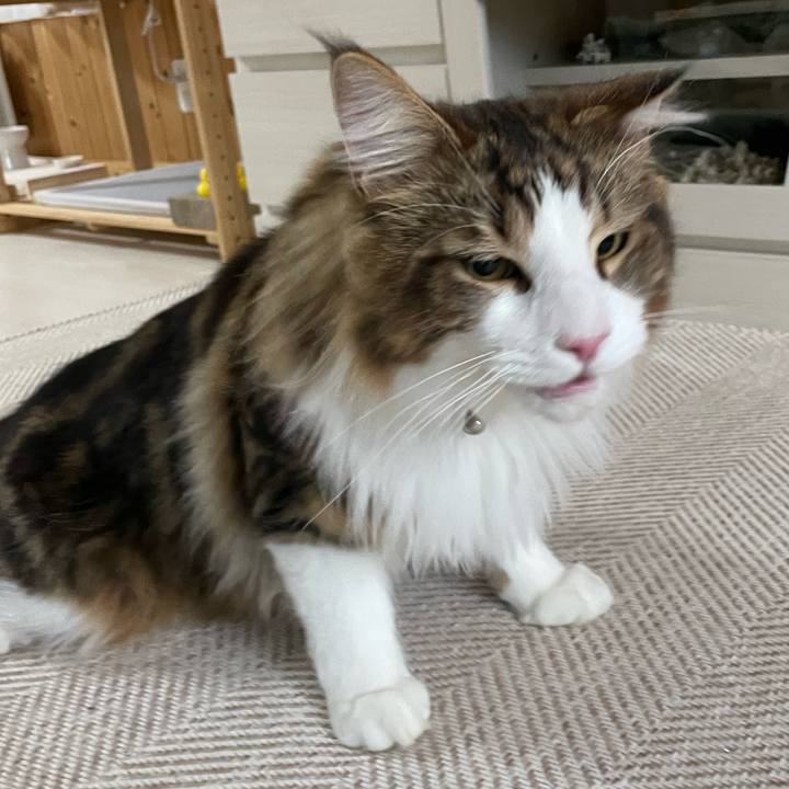 Fc8811fd a025 4a26 8b0f 210a1f568d69 1649800327698