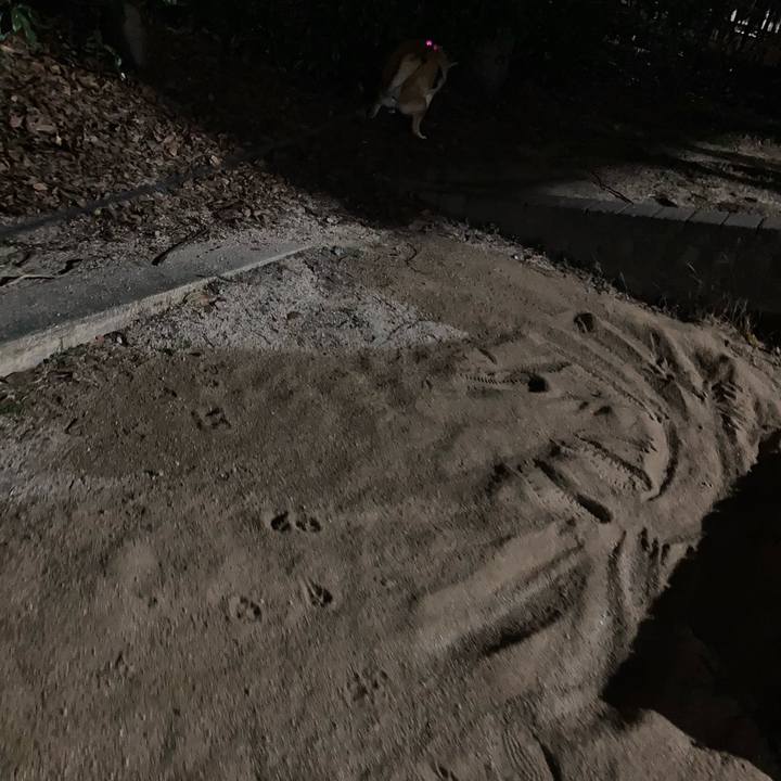 Fc88242f 5d7b 4fa1 b4c2 c123388916fe 1615983681477