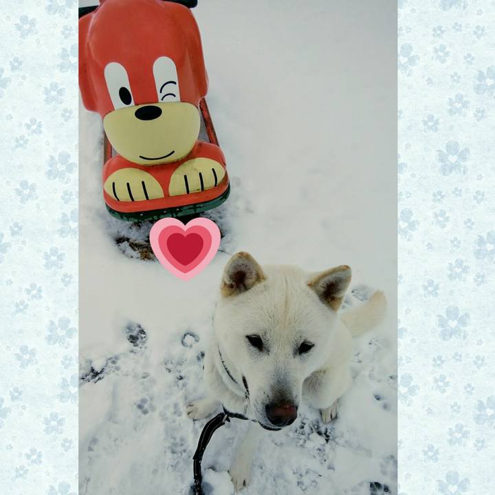 Fc8834d7 04ce 411c b1a0 13067aa5ba97 1518618271462