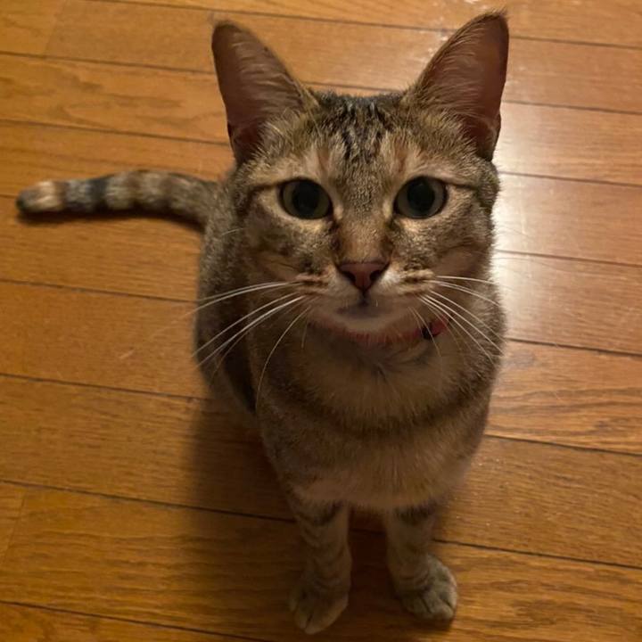 Fc883971 50f1 4ae3 92e1 981a932841f3 1589934142968