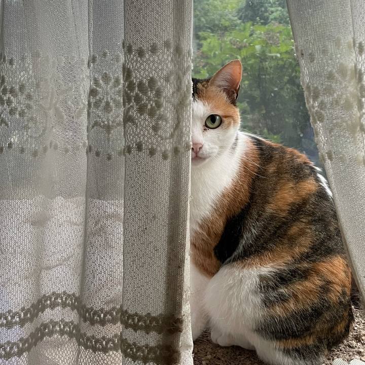 Fc88a2b2 7b0f 4033 9398 29efc919c18f 1622197717351