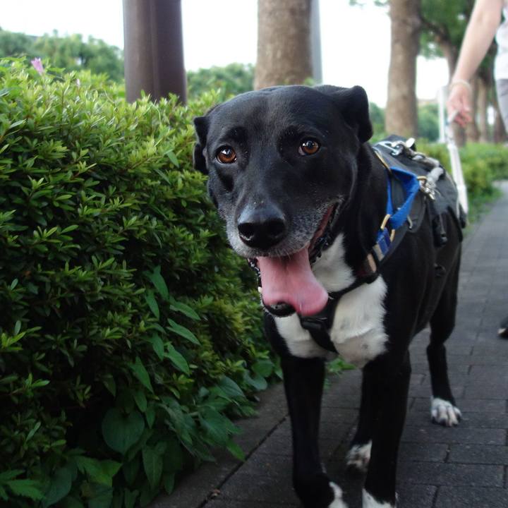 Fc88bcec 2e47 453a 963a 49dad81472dc 1655462916981