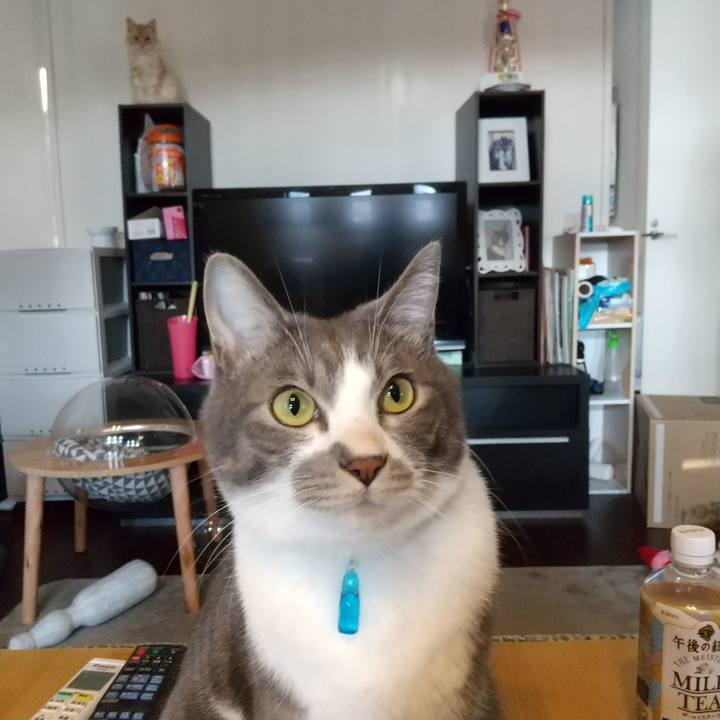 Fc88c81b e3dc 437e 9bc0 d3a200ebcfac 1611532011081