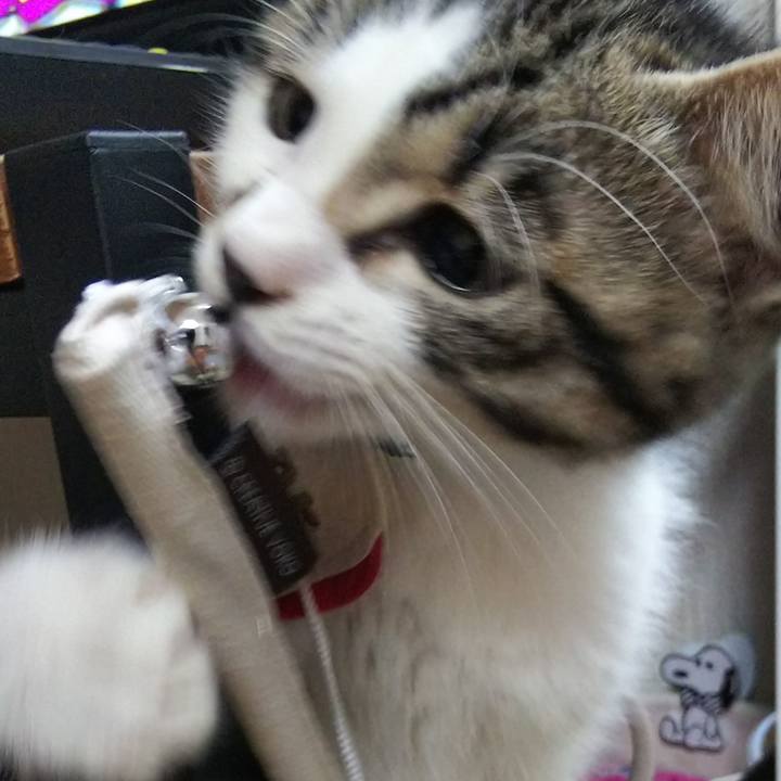 Fc890944 fc6d 47ae 95a8 fa016e0b50e3 1606823016653