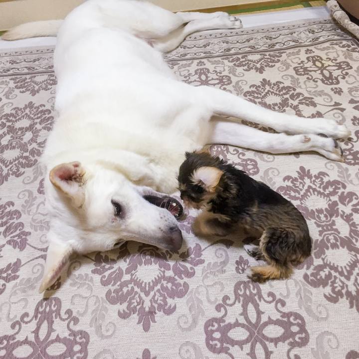 Fc89126a f8c3 41de bc4c 585a51c64f1b 1643514330001