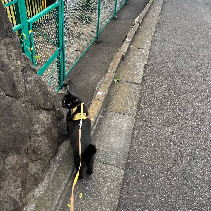 Fc892eb0 0636 42a7 a742 fe3631ca04ce 1698536487985