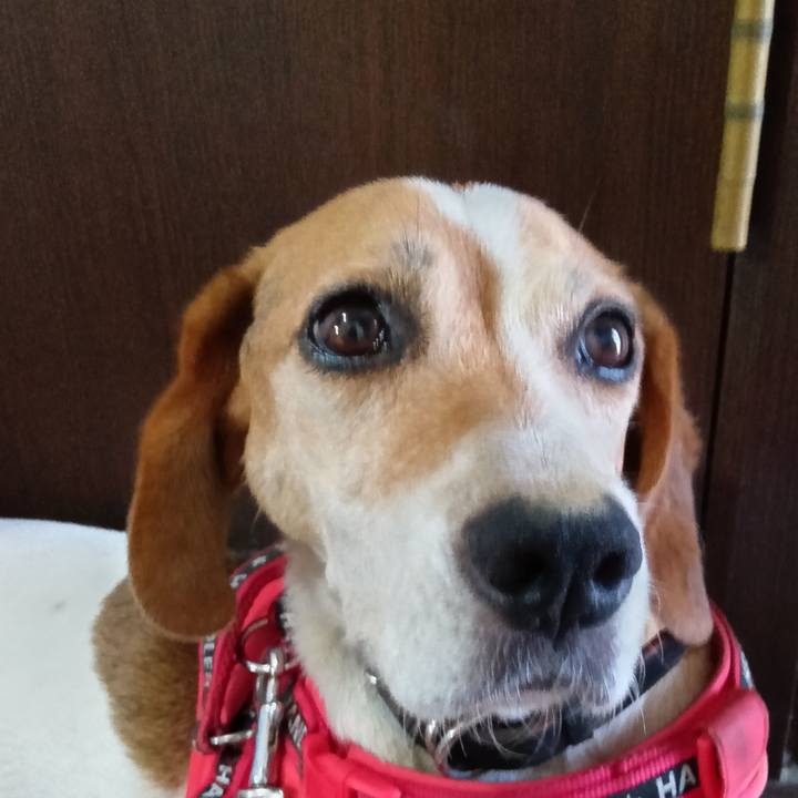 Fc899c11 b4f8 462b bb7a 6f5aa254bd44 1722693289078