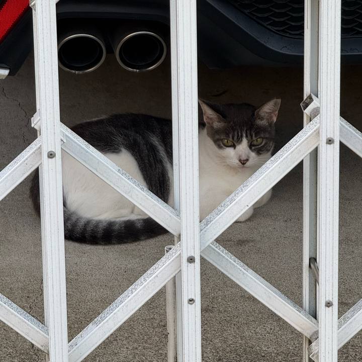 Fc89a4b8 ced2 447b ac81 22ad7b02e642 1755216231918