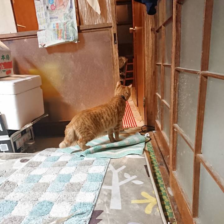 Fc8a048b c2d9 4fd1 967f 502f6fd74c46 1646051490970