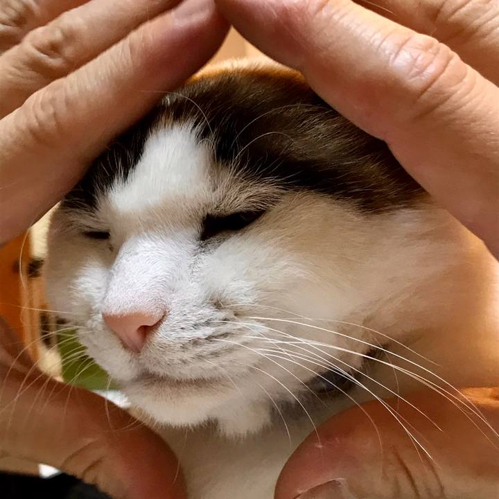 Fc8a148e a167 4326 ba14 f6a437649dd8 1581230786077