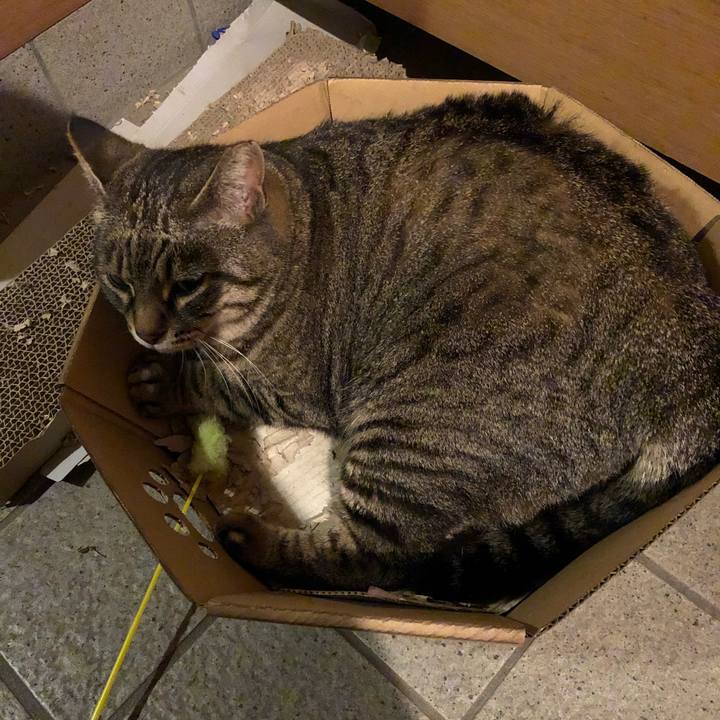 Fc8a396e 549b 4ced 9e71 35b94c09ea1c 1556535705946