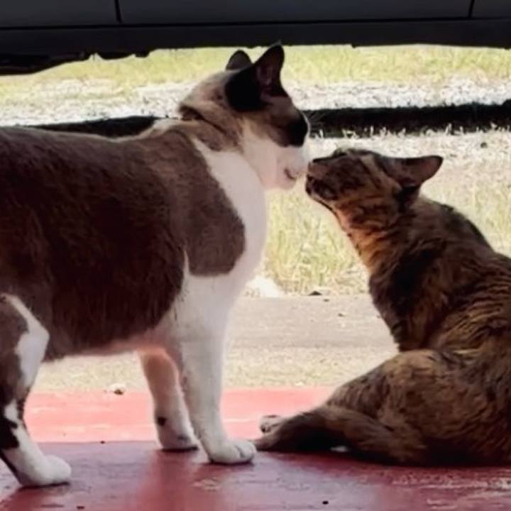 Fc8a61e3 3edb 4ea0 8bdc 57c20b130a80 1749088618537