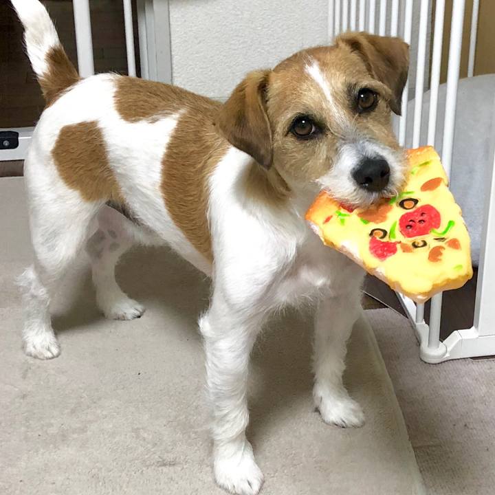 Fc8a7963 7456 413b 88ee c4b13591bb1c 1578488566705