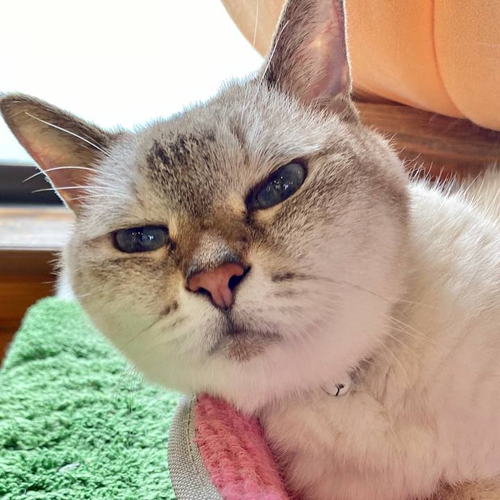 Fc8a7a1e 0728 47a3 bf09 165c87cd078f 1597205738916