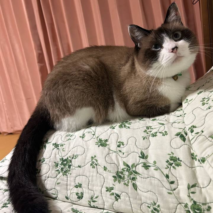 Fc8a9e4c 8857 43ca b4ee f9111884d3a4 1759090626735