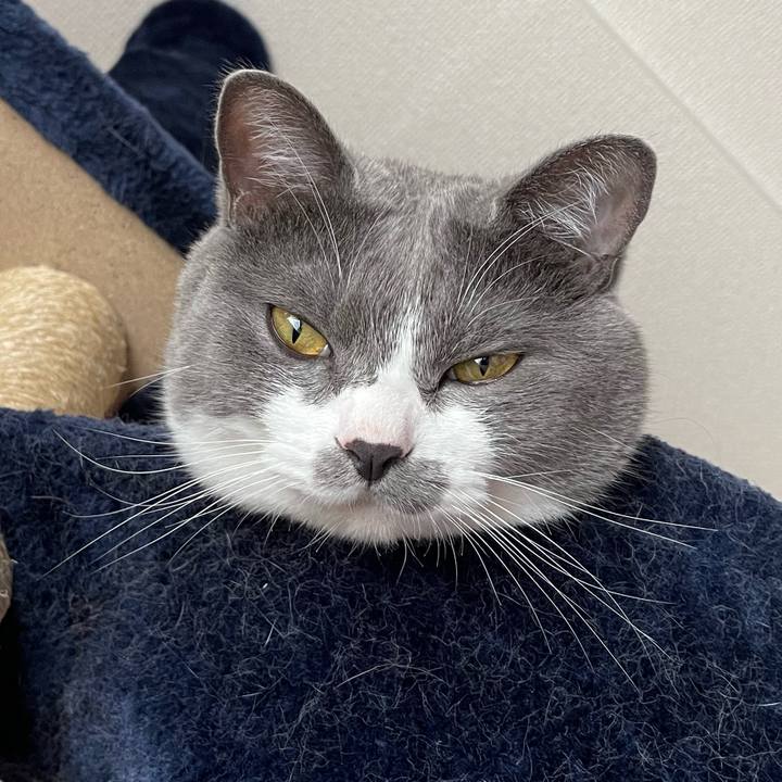 Fc8aa740 878d 45f2 aa91 3c4a22542c9b 1658970095907