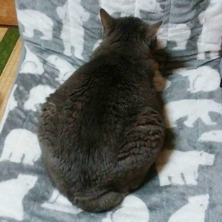 Fc8ad3b4 2eac 4dd5 bb98 a9ea3b0a8100 1546871919930