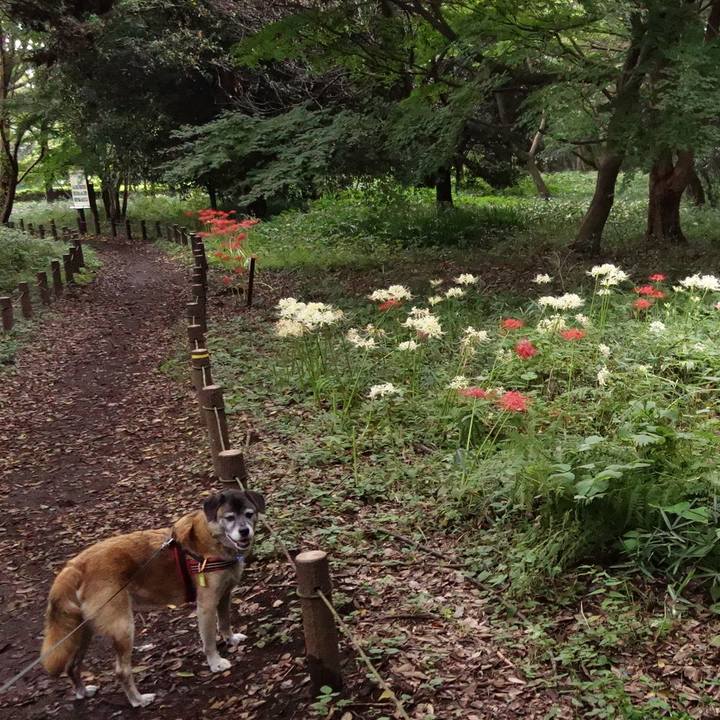 Fc8b3d3e 3f7c 4bec 8a4b a378b3307e2f 1647320453954