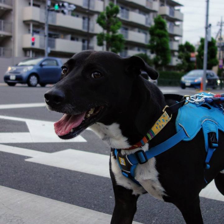 Fc8b6261 f84d 4c8b 92c4 9d9a3c42ebc0 1623668701743