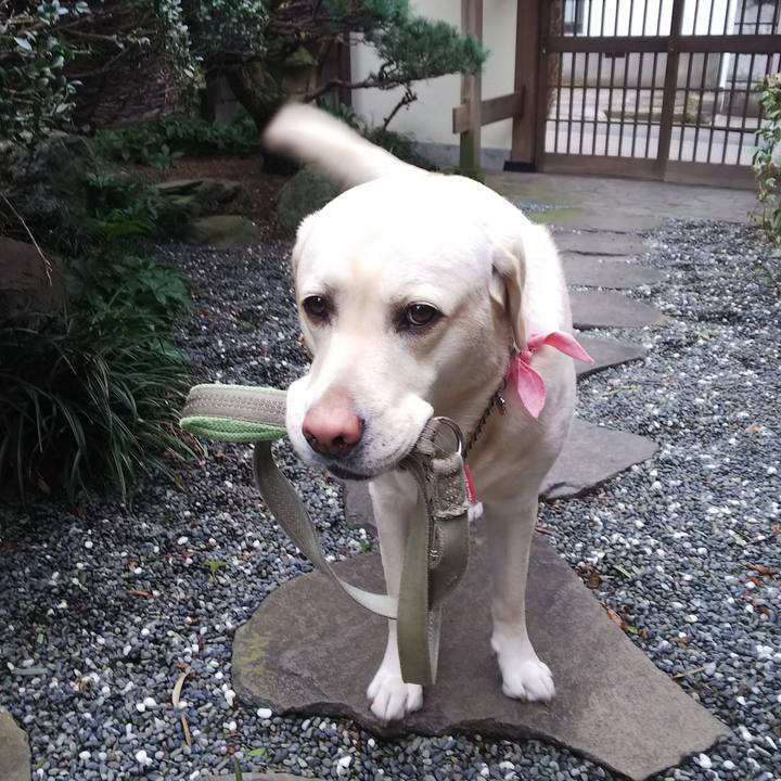 Fc8bd9cc a3b7 4c61 8fe1 8cc04f506410 1580088299035