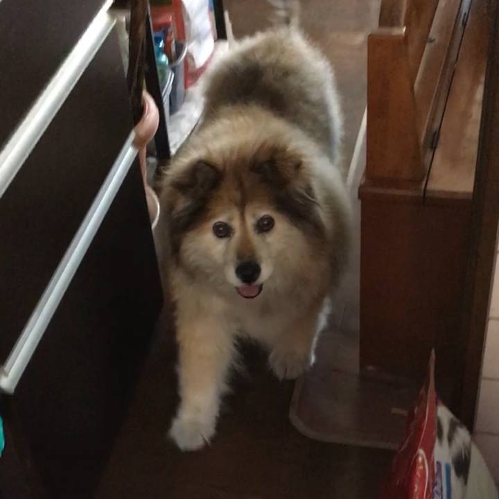 Fc8bde1c ccf4 4ff0 a188 e48d1526b522 1632047155383