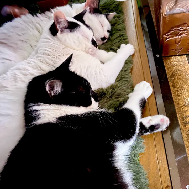 Fc8beeb2 1e54 4d71 960c cca48fd97523 1700783708870