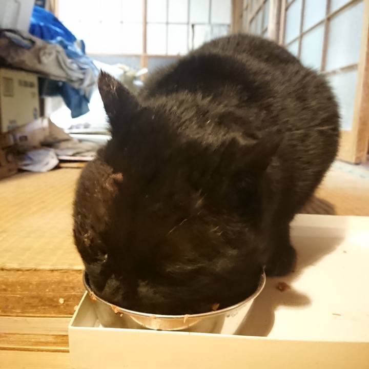 Fc8c55f4 43d4 4b22 bbd0 02caa578f00c 1615283022876