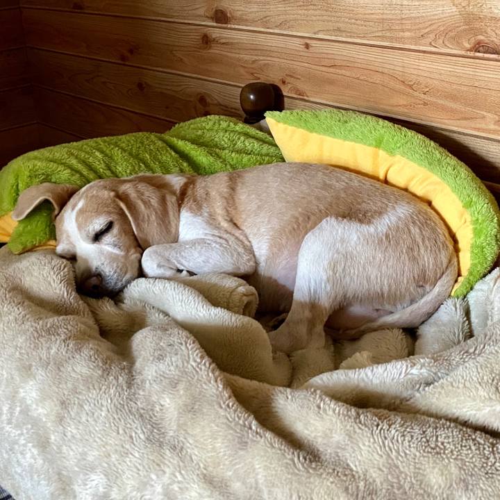 Fc8c68c6 59f7 4af0 8fed 144e90b5206e 1590825638458