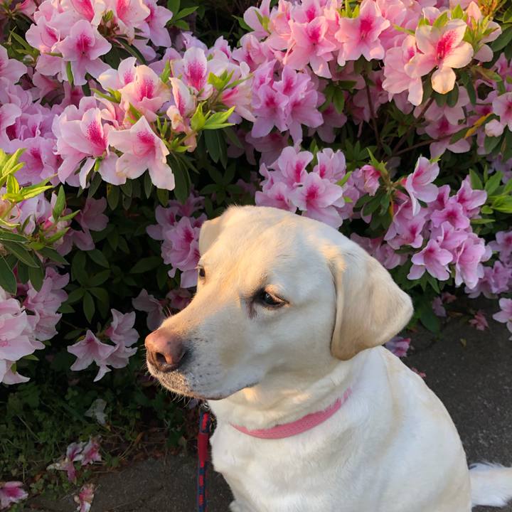 Fc8c8f6f 0602 4604 aa5e 23a55386aa03 1588285289826