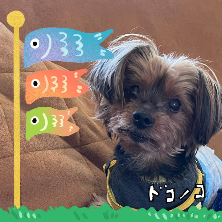 Fc8cf8a5 a1a2 4f2c 975b 087e61488d9d 1714881367328