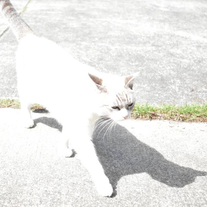 Fc8d46dd 4098 4a55 ad4e 4504f7b1d091 1539007071912