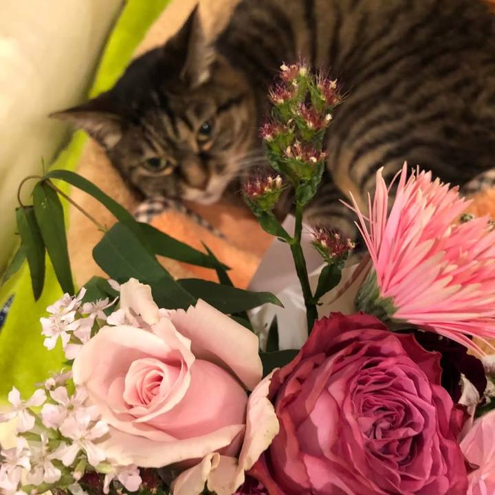 Fc8d53f3 360e 487c 9a97 3c2059b5a835 1764108938940