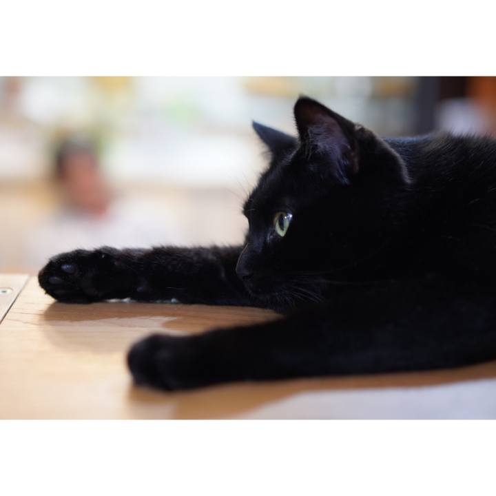 Fc8d56c0 4ae1 4333 ace4 77fda304fec2 1625922334488